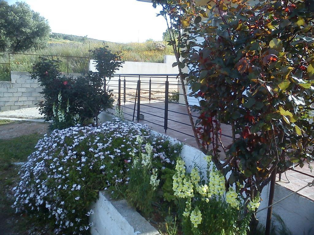 Appartement Panorama Hill à Grammatiko Extérieur photo