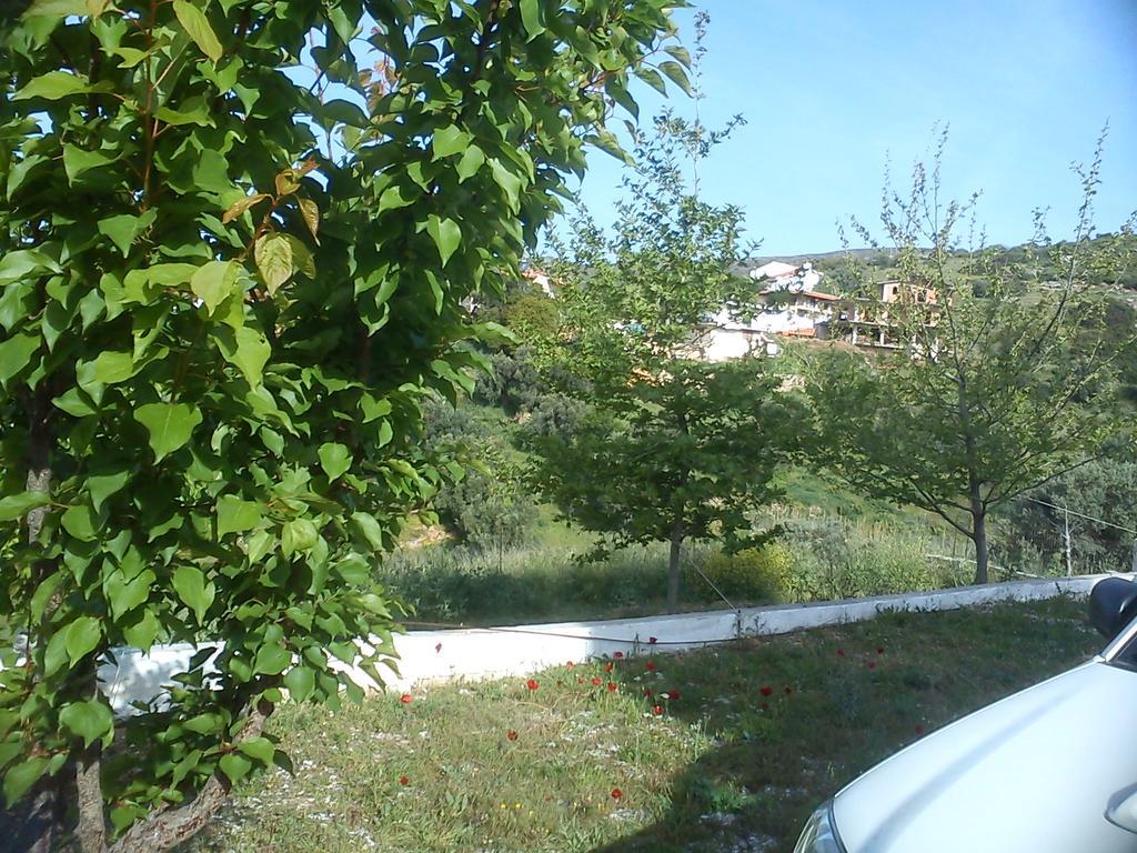 Appartement Panorama Hill à Grammatiko Extérieur photo