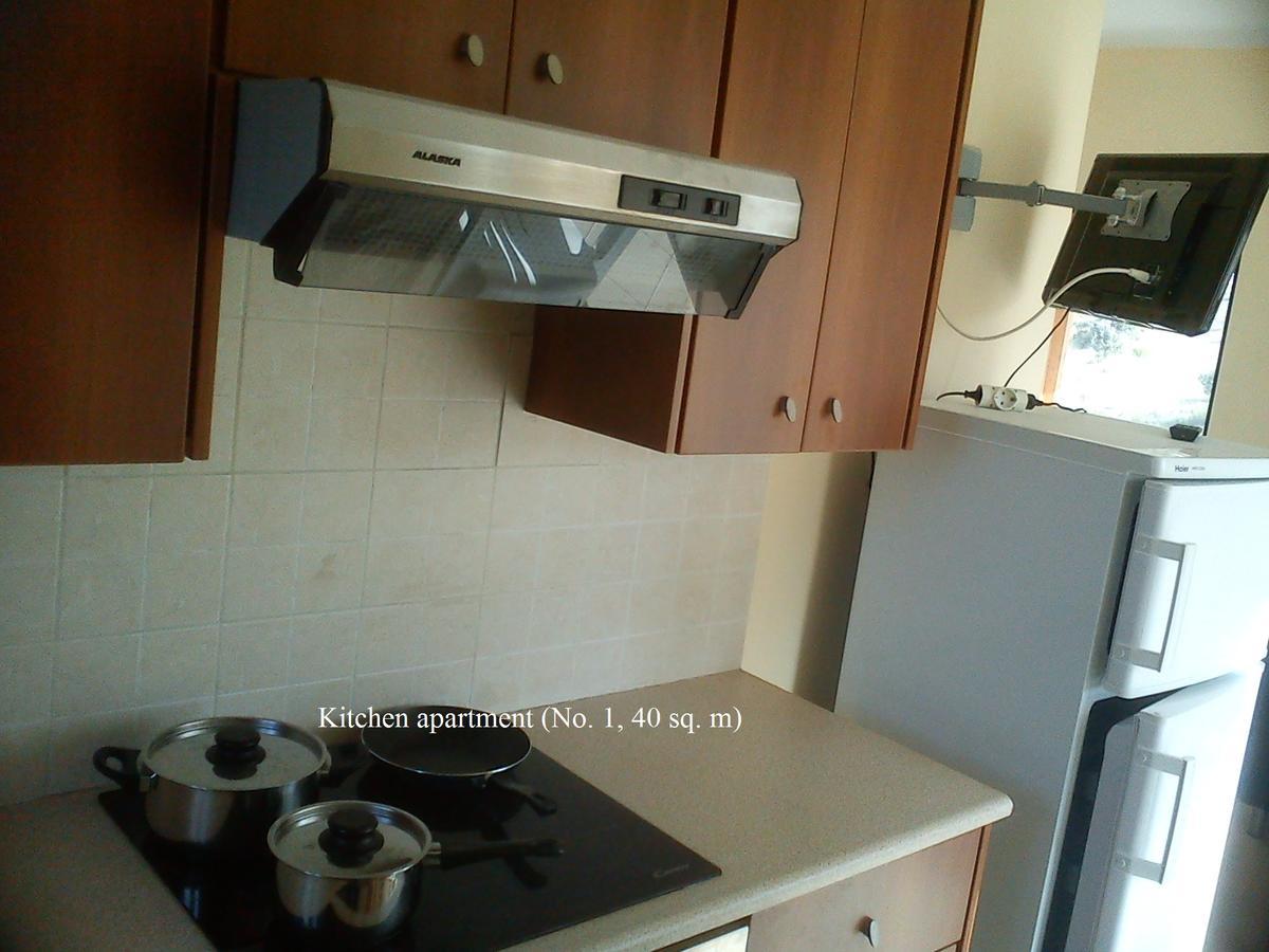 Appartement Panorama Hill à Grammatiko Extérieur photo
